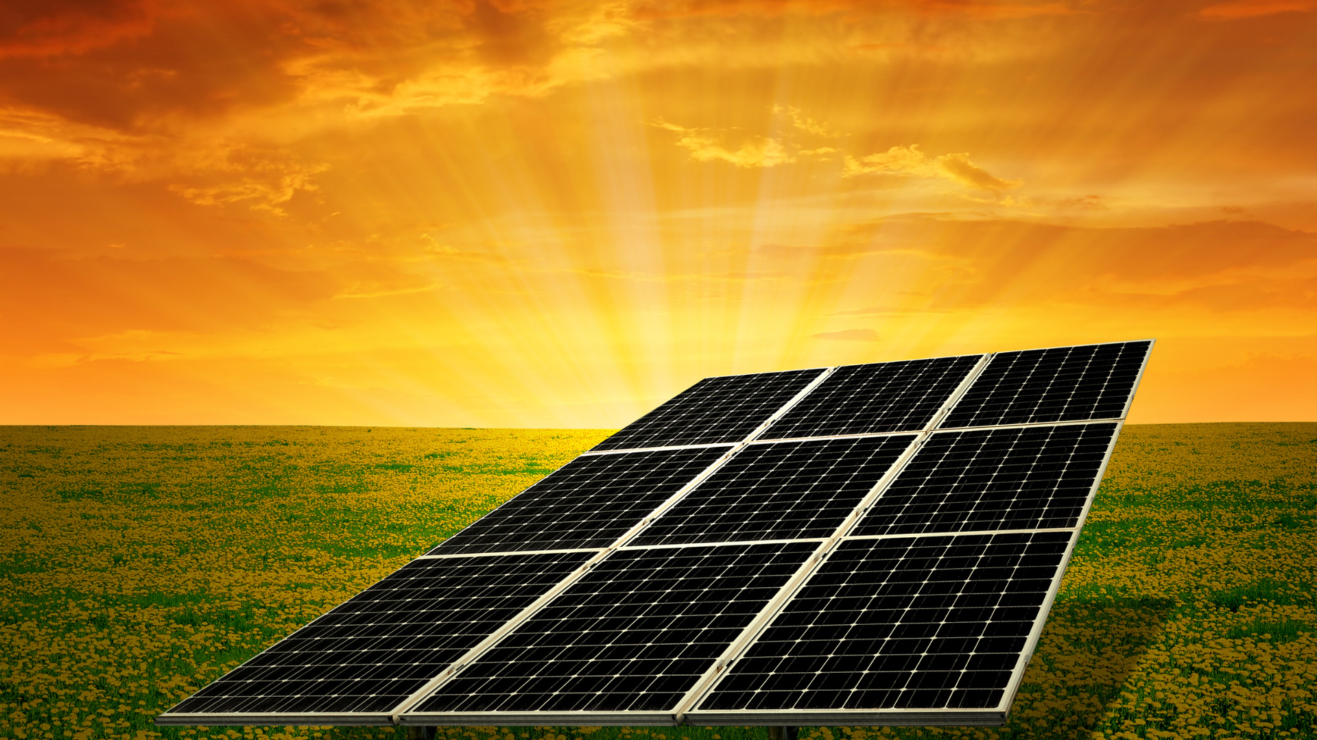 Renewable Energy Fortev Solar